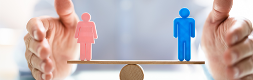 repartition-femmes-hommes-500x160